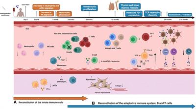 Reconstitution of the immune system and clinical correlates after stem cell transplantation for systemic sclerosis